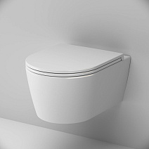 Унитаз подвесной Am.Pm Func C8F1700SC микролифт, белый