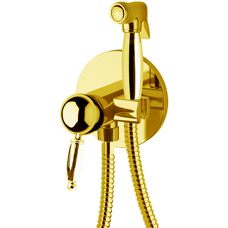 Гигиенический душ со смесителем Daniel Retro RT645AU-DO золото