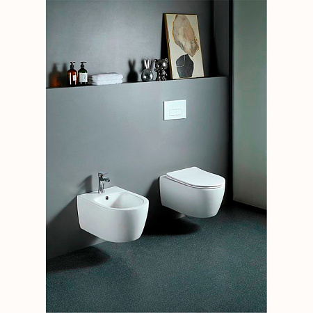 Биде подвесное Aquatek Европа AQ1006-00 белый