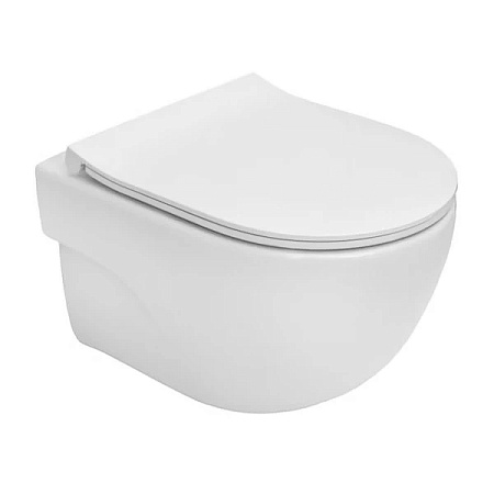 Унитаз подвесной Roca Meridian A34H242000 с сиденьем Slim Soft Close