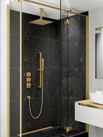 Душевой комплект Timo Selene SX-2229/17SM золото матовое