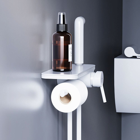 Гигиенический душ со смесителем Damixa Jupiter 773500200 белый