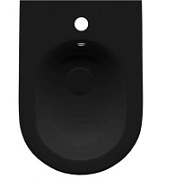 Биде напольный Allen Brau Reality 4.32005.31 черный матовый