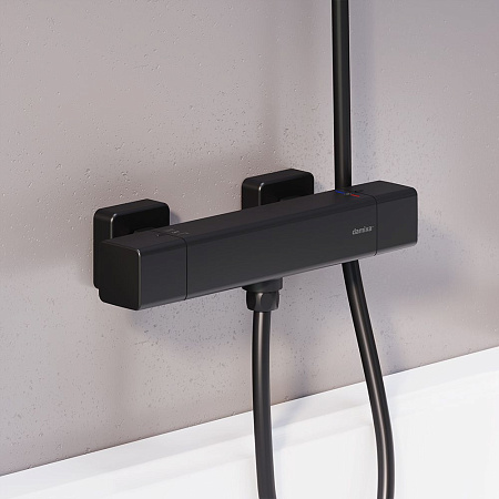 Смеситель Damixa Gala 536000300 для душа черный