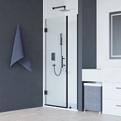 Душевая дверь RGW Hotel HO-012B 350601212-14 120x195 прозрачное/черный