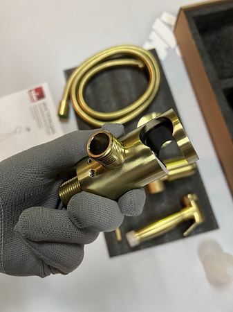 Гигиенический душ со смесителем Timo Saona 2389/17SM золото