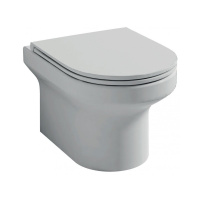 Унитаз подвесной Jacob Delafon Elite EDX114RU-00