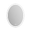 Зеркало BelBagno SPC-VST-600-800-LED-TCH-WARM со светильником, с подогревом