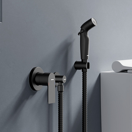 Смеситель Damixa Apollo 477510300 с гигиеническим душем, черный