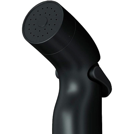 Гигиенический душ Am.Pm F0202022 черный