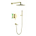 Душевой комплект Timo Saona SX-2379/17SM золото матовое