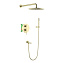 Душевой комплект Timo Saona SX-2379/17SM золото матовое - фото 1