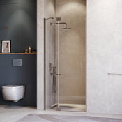 Душевая дверь RGW Hotel HO-014GR 350601411-110 110x200 прозрачное/серый