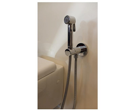 Гигиенический душ со смесителем Bossini Paloma Brass E37005B.021 золото