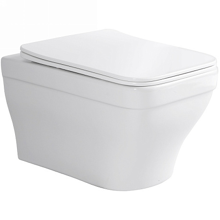 Унитаз подвесной Aquatek Амадео AQ1163-00 с сидением Soft Close