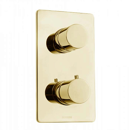 Смеситель Bossini Oki Z00002.021 для душа (внешняя часть), золото