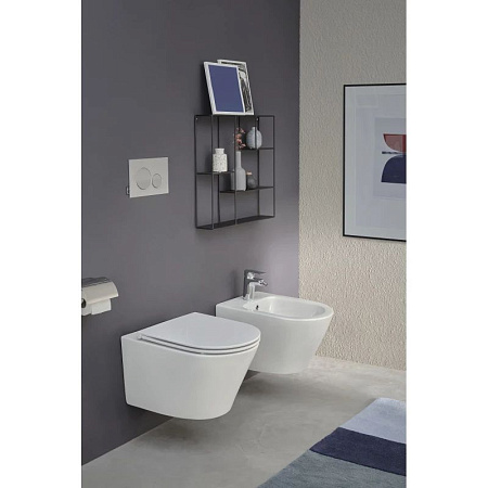 Биде подвесное Jacob Delafon Rodin+ EMJ0002-00