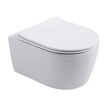 Унитаз подвесной Aquatek Европа AQ1106T-00 с сидением Soft Close