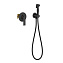 Гигиенический душ со смесителем Timo Anni 2789/03SM черный - фото 1