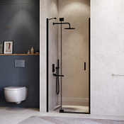 Душевая дверь RGW Hotel HO-014B 350601413-14 130x200 прозрачное/черный