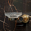 Мыльница Boheme Royal Cristal 10923-BR-B настенная, бронза/черный - фото 3