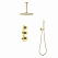 Душевой комплект Timo Saona SX-2399/17SM золото матовое
