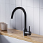 Смеситель Dorff Logic D3007022 для кухонной мойки, черный - фото 2