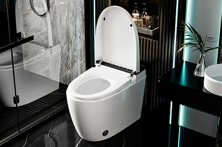 Унитаз приставной ABBER Bequem AC1116S с функцией биде, микролифт