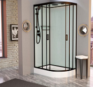 Душевая кабина Frank F412L М Black 120x80x220 L черный