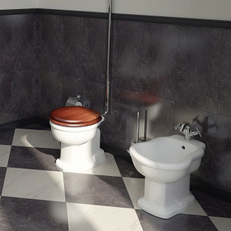 Биде напольное VitrA Efes 6597B003-0068