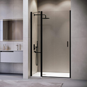 Душевая дверь RGW Leipzig LE-004B 351200412-14 120x195 прозрачное/черный