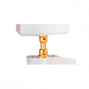 Труба средняя к подвесному бачку Devon&Devon IBACZWESOT золото