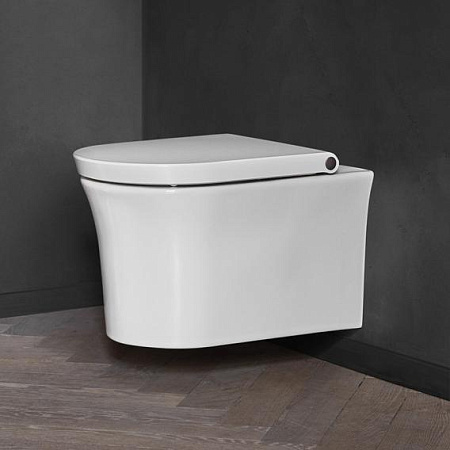 Унитаз подвесной Duravit White Tulip 2576092000