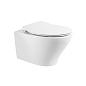 Чаша для унитаза подвесного BelBagno Acqua BB340CHR