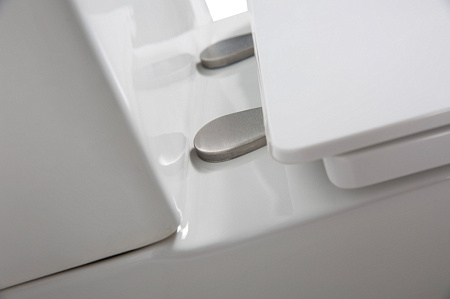 Чаша для унитаза-компакта BelBagno Lounge BB045CPR