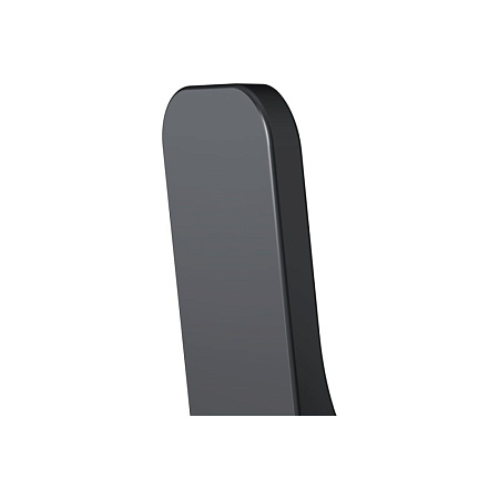 Крючок Am.Pm Func A8F35622 2 шт, черный