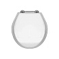 Крышка-сиденье Devon&Devon Rose 2IBSEBIAROCR микролифт, петли хром