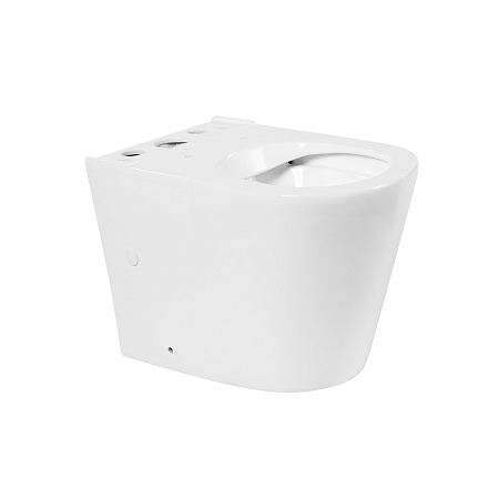 Чаша для унитаза-компакта BelBagno Flay-R BB2149CPR