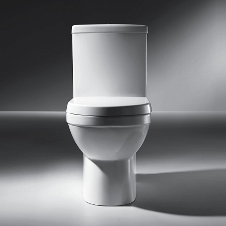 Чаша для унитаза-компакта Bravat New Moon CX01014UW-P-RUS с сидением