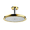 Верхний душ Hansgrohe Raindance Classic 27405090 золото, хром - фото 1