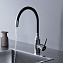 Смеситель Dorff Logic D3007622 для кухонной мойки черный - фото 4