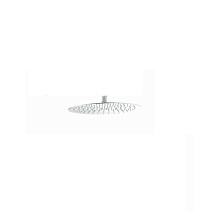 Верхний душ Boheme Uno 422-MW белый матовый Верхний душ Boheme Uno 422-MW белый матовый