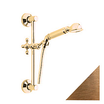 Душевой гарнитур Cisal Shower AR00311227 бронза