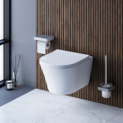 Унитаз подвесной Damixa Skyline DX35C1700SC с микролифтом