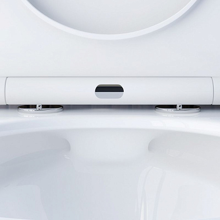 Унитаз подвесной Damixa Skyline DX35C1700SC с микролифтом