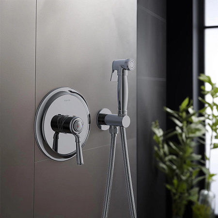 Гигиенический душ со смесителем Aquatek Классик AQ1519CR хром