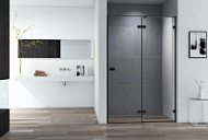 Душевая дверь Cezares Bellagio BELLAGIO-B-12-120-C-NERO прозрачный/черный