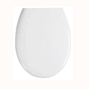 Крышка-сиденье Aquatek AQ0170-00 с системой микролифт, белый