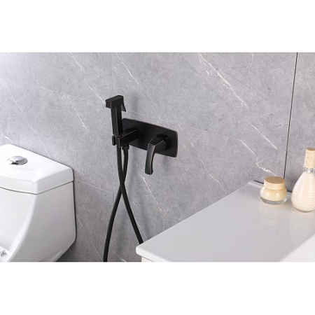 Гигиенический душ со смесителем Lemark Nubira LM6219ORB хром