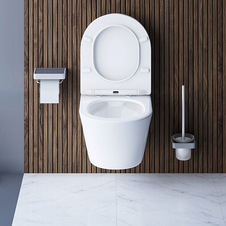 Унитаз подвесной Damixa Skyline DX35C1700SC с микролифтом